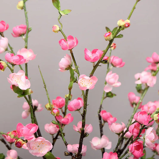 Sakura Bloesemtak